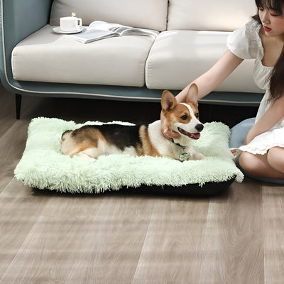Pet Beds and Comfort