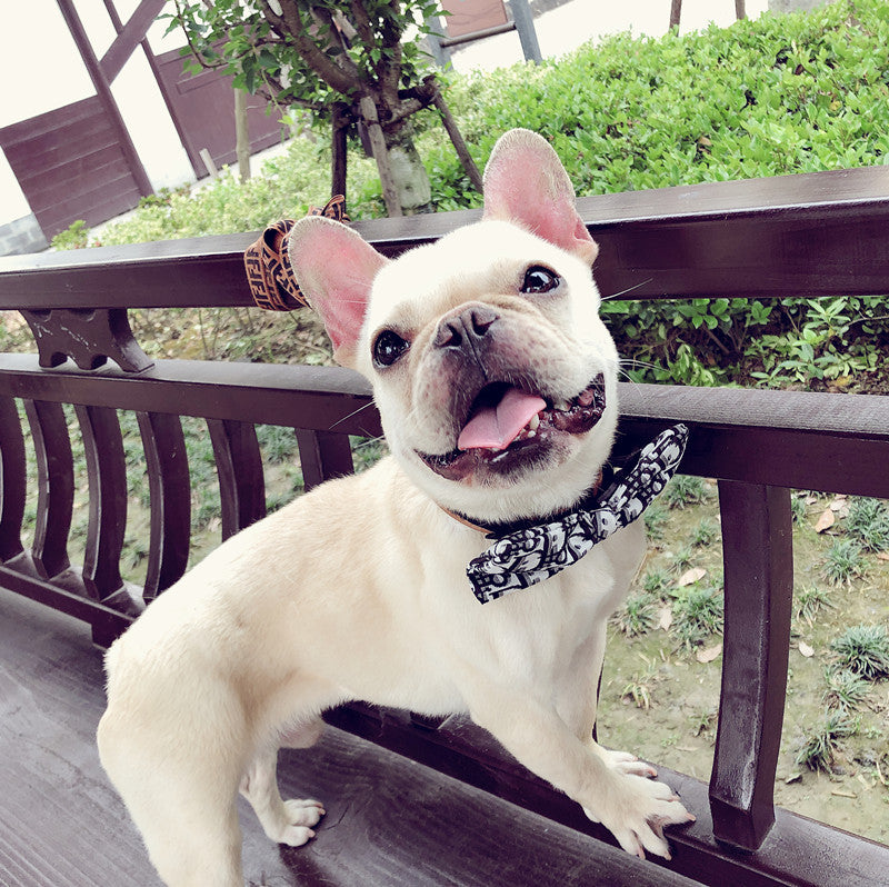 Pet Bow Tie Dog Bow Tie Removable Handsome And Customizable Collar