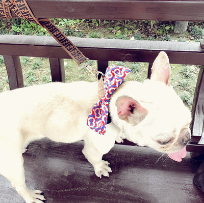 Pet Bow Tie Dog Bow Tie Removable Handsome And Customizable Collar