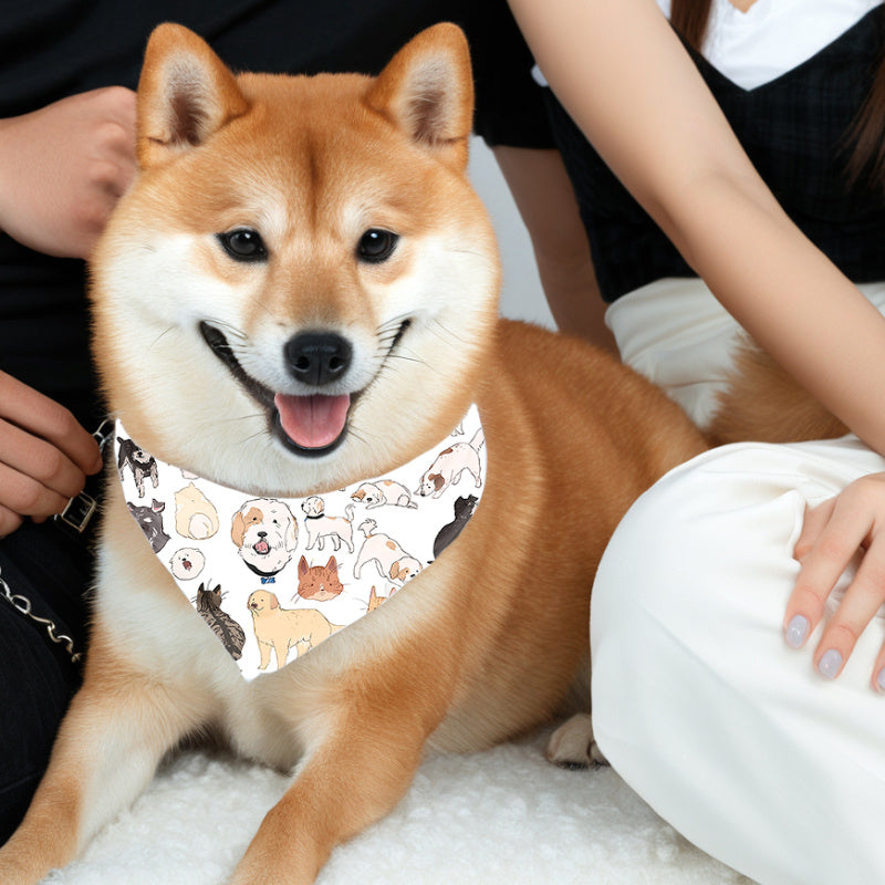 Reversible Pet Bandana