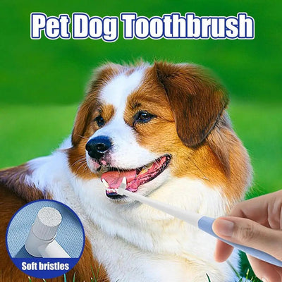 Pet Toothbrush Kitten Tooth Brushes Small Cats Safe Dog Oral Care Odorless Cat Tooth Care Brush With Anti-Slip Handle Pet Teeth