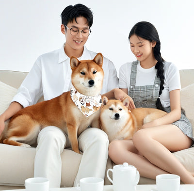 Reversible Pet Bandana